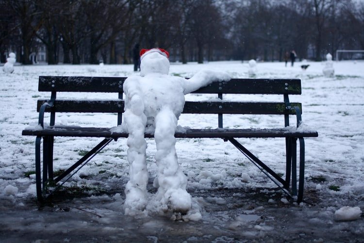 bench snow